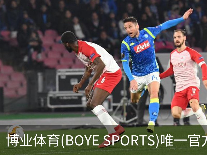 博业体育(BOYE SPORTS)唯一官方网站概况